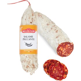 Bild på Macelleria Falorni Salame Piccante 386g