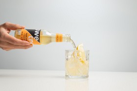 Bild på Swedish Tonic Ginger Beer 12x200 ml