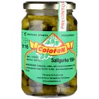 Colofon Pepinillos Saltgurka Små 350g