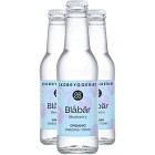 Ekobryggeriet Tonic Blåbär 4x20cl