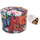 Gardiner's of Scotland Butterfly Vaniljfudge Plåt 200g