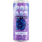 Hammars Bryggeri Pop Art Arctic Blueberry 33cl