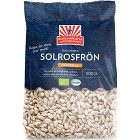 Kung Markattas Solrosfrön 500g