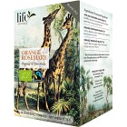Life by Follis Apelsin Rosmarin Svart Te EKO 20-pack