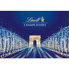  Lindt CHAMPS ÉLYSÉES Assorted Chokladask 973g