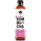 Pureness Kombucha Hallon 40cl