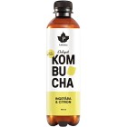 Pureness Kombucha Ingefära & Citron Eko 40cl