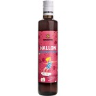 Sonnentor Syrup Hallon EKO 500ml