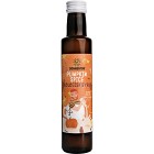 Sonnentor Syrup Pumpkin Spice EKO 250ml