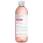 Vitamin Well Boost 500 ml inkl pant