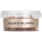 Werners Muskotblomma i bit 15g